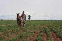 Senegal foncier