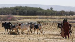 Canicule-sahel