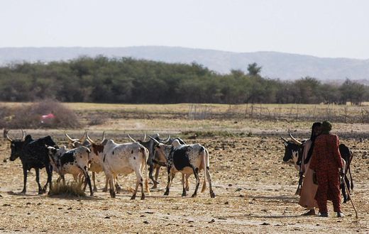 Canicule-sahel