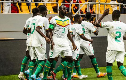lions du Sénégal