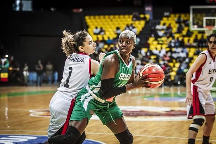 Senegal - Egypte Afrobasket 2023