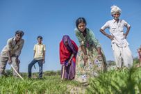produce, which barely lasts them a few months