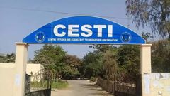 Cesti