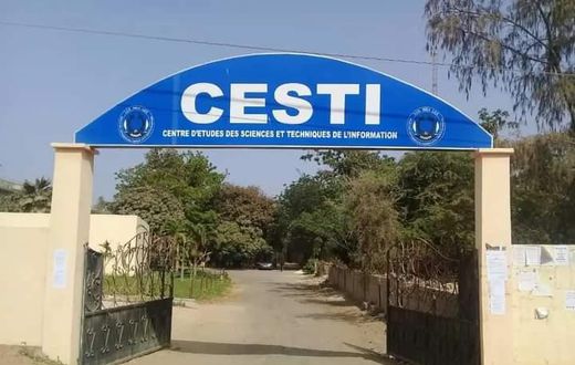 Cesti