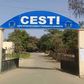 Cesti