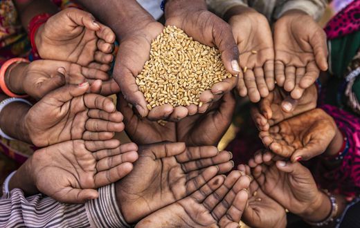 Insécurité alimentaire
