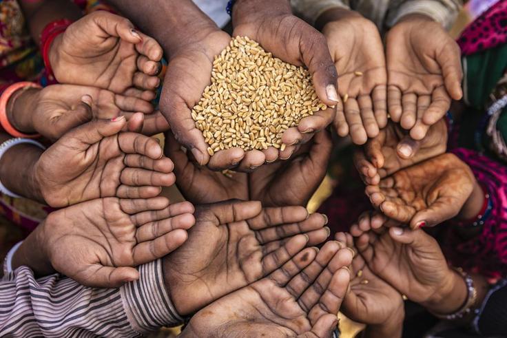 Insécurité alimentaire