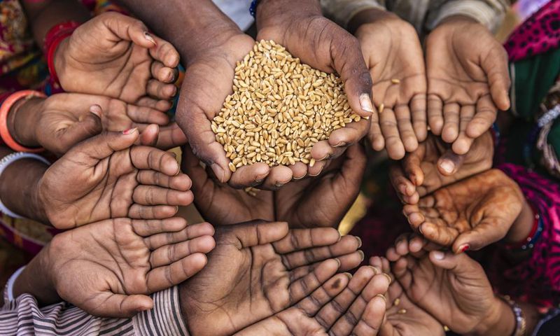 Insécurité alimentaire