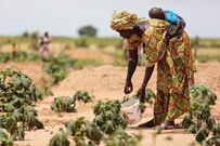 Insecurite alimentaire au senegal