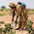 Insecurite alimentaire au senegal