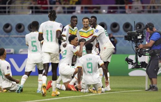 Sénégal Lions