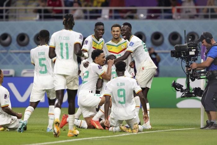 Sénégal Lions