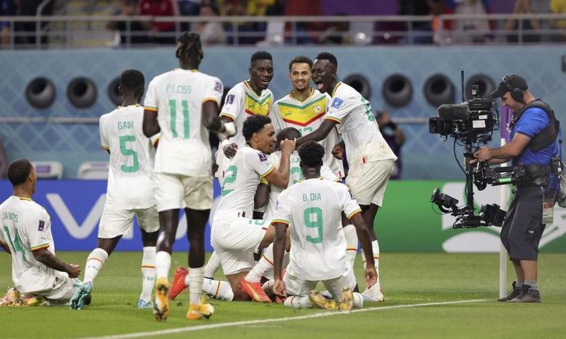 Sénégal Lions
