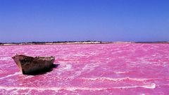lac-rose-senegal