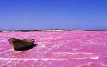 lac-rose-senegal