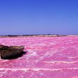 lac-rose-senegal
