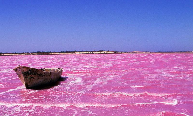 lac-rose-senegal