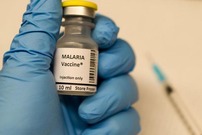 Vaccin Malaria
