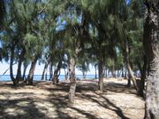 littoral