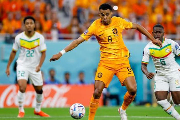 Senegal-Pays-Bas-a-la-Coupe-du-monde-1524841