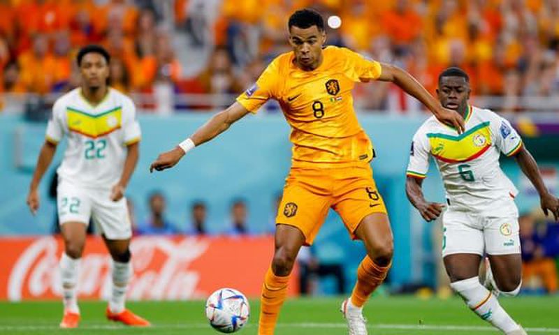 Senegal-Pays-Bas-a-la-Coupe-du-monde-1524841