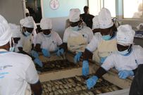 Centre de transformation Dione War FAO
