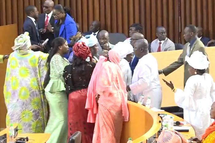 assemblée-nationale-bagarre