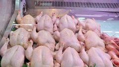 Poulets