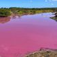 Cet-etang-a-Hawai-est-mysterieusement-devenu-rose-bubblegum-La