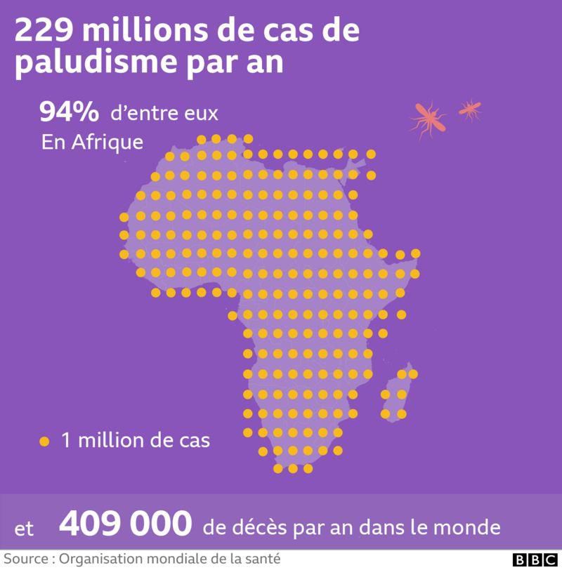 Données sur le paludisme