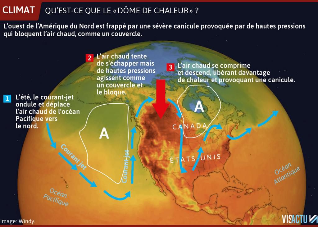 infographie-visactu