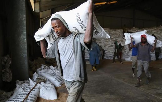 Aide alimentaire Ethiopie