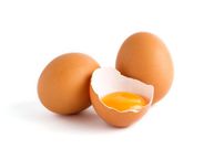 oeuf