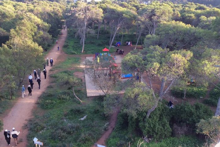 foret-classee-de-mbao