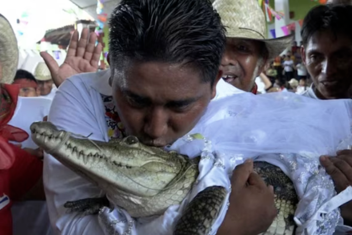 The man who married a crocodile [TimesofIndia]