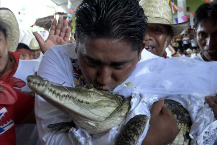 The man who married a crocodile [TimesofIndia]
