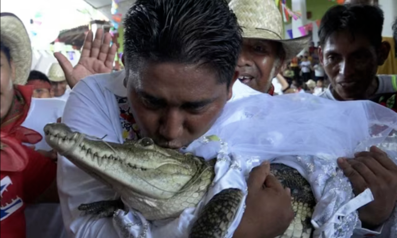 The man who married a crocodile [TimesofIndia]