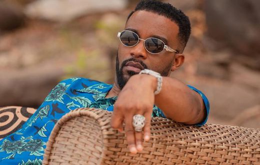 fallyipupa3