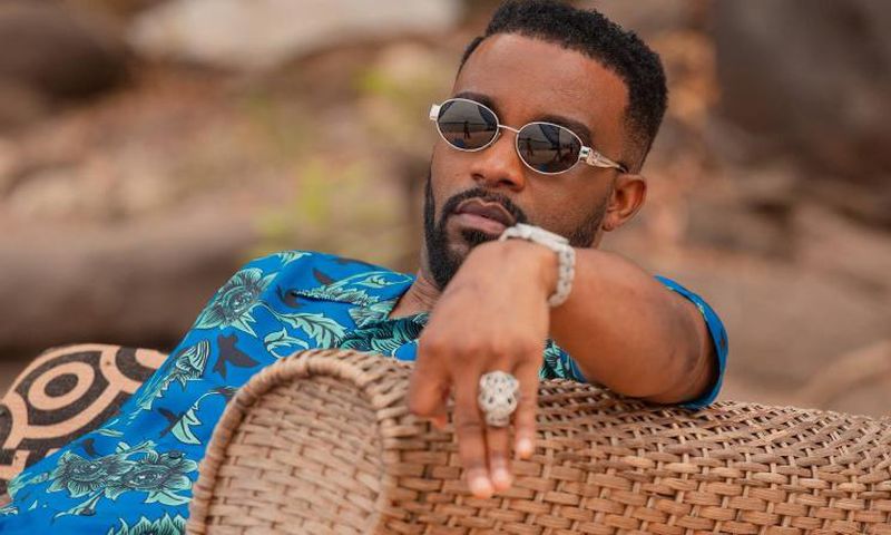 fallyipupa3