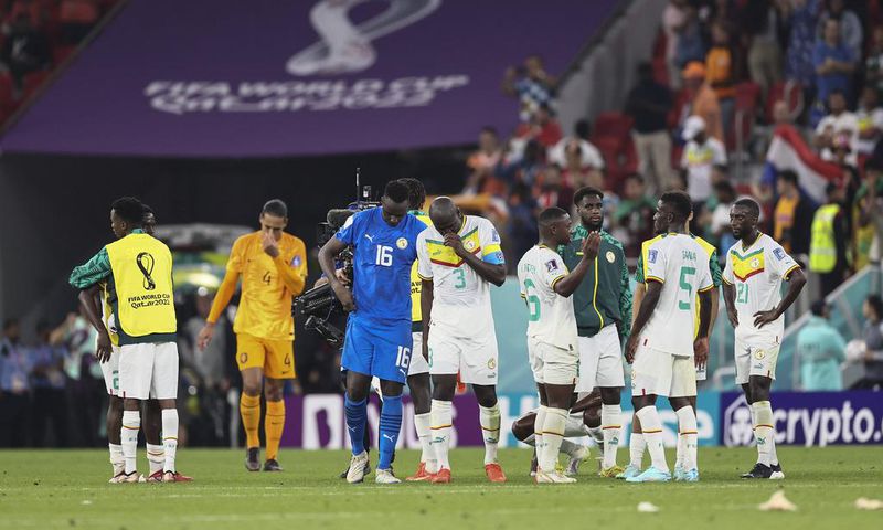 Senegal battled gamely, but fell just short in defeat to the Netherlands at the FIFA World Cup (IMAGO/Lan Hongguang/Xinhua)