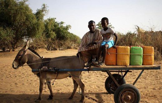 Charrette-tiree-par-un-ane-Elles-peuvent-aussi-etre-tirees-par-un-cheval-ou
