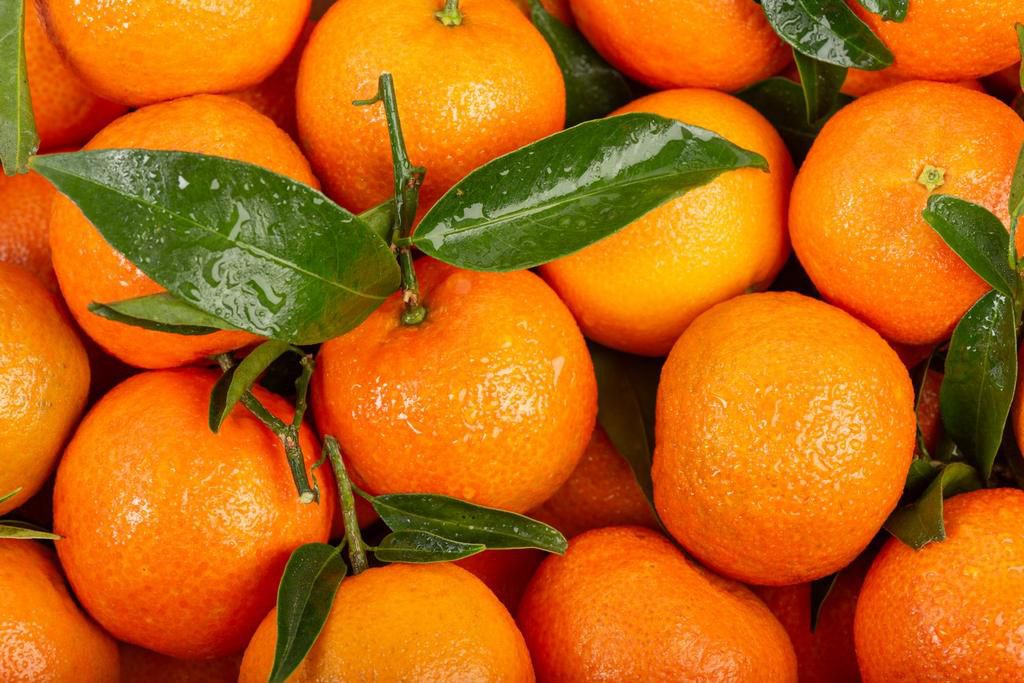 Clementine Feuille Mini Colis