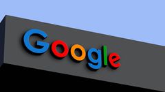 google reveals the most searched sustainability topics