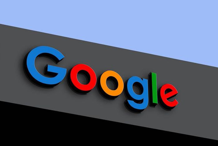 google reveals the most searched sustainability topics