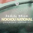 Akhlou Brick