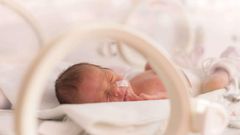 Bébé prématuré