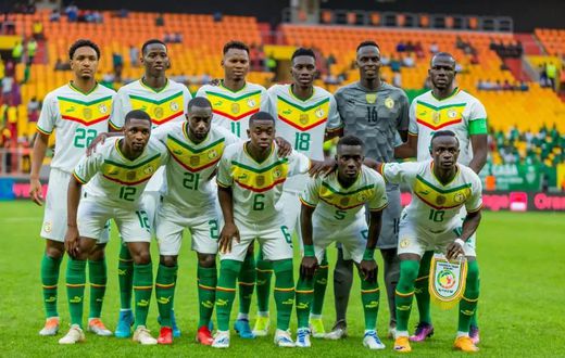 Lions du Sénégal
