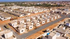 Parcelles livrées à Bambilor