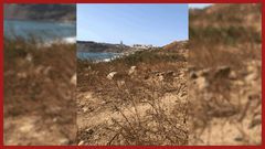 Foncier-(illustration) (1)