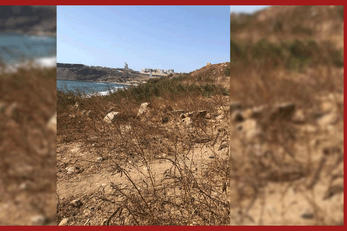 Foncier-(illustration) (1)